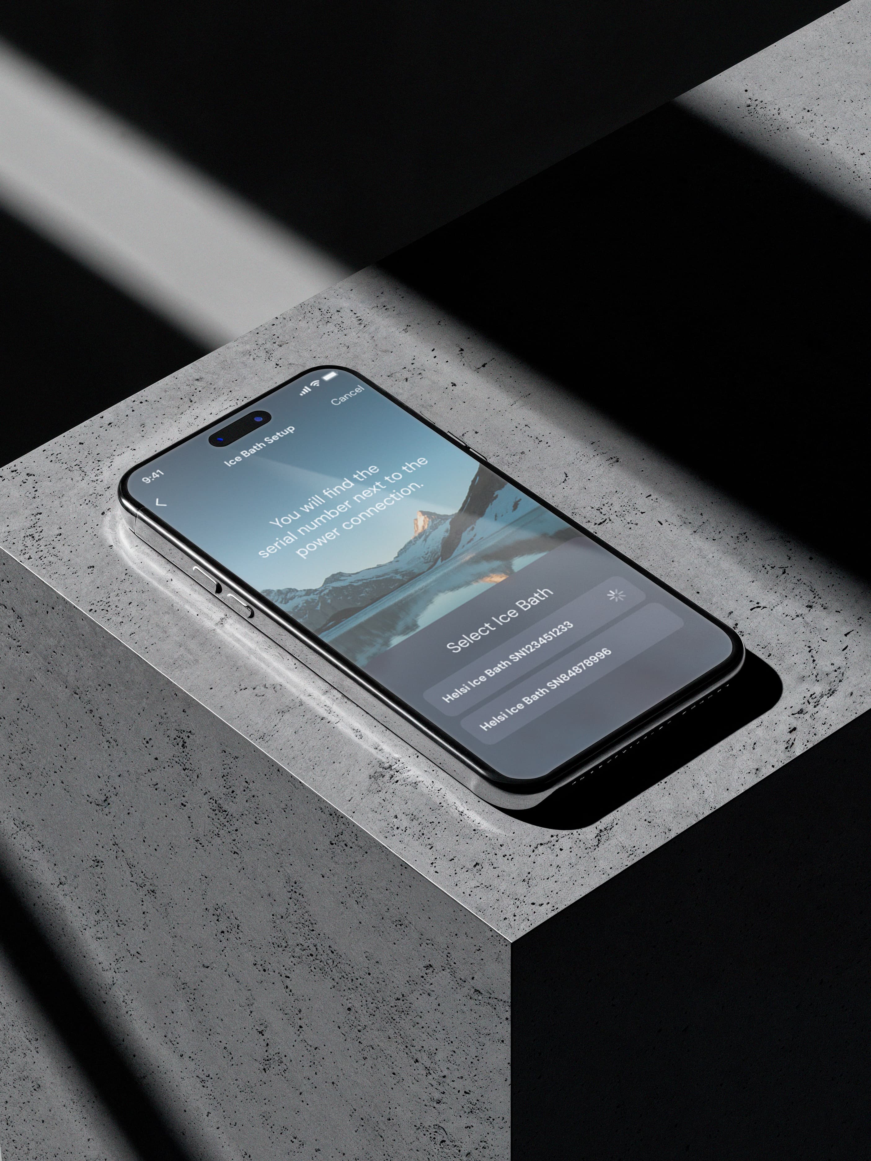 Friendship Tree Desktop